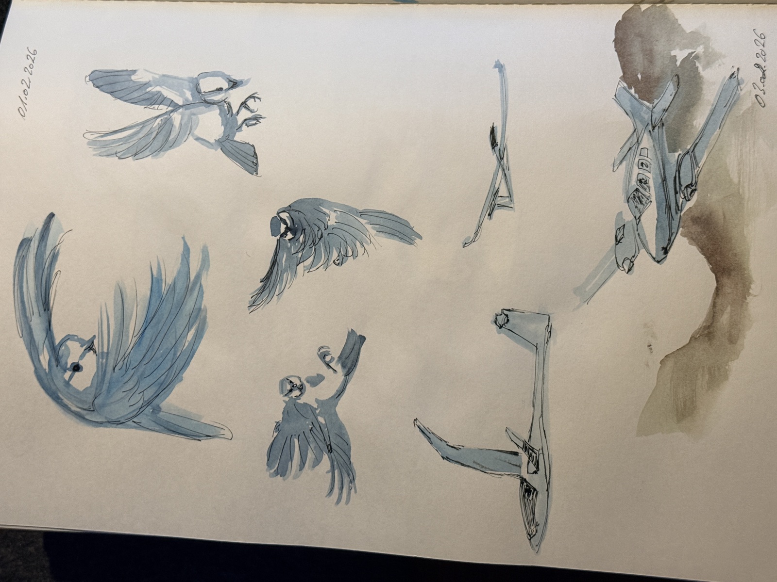Flug, Skizze von Ellen Hermes