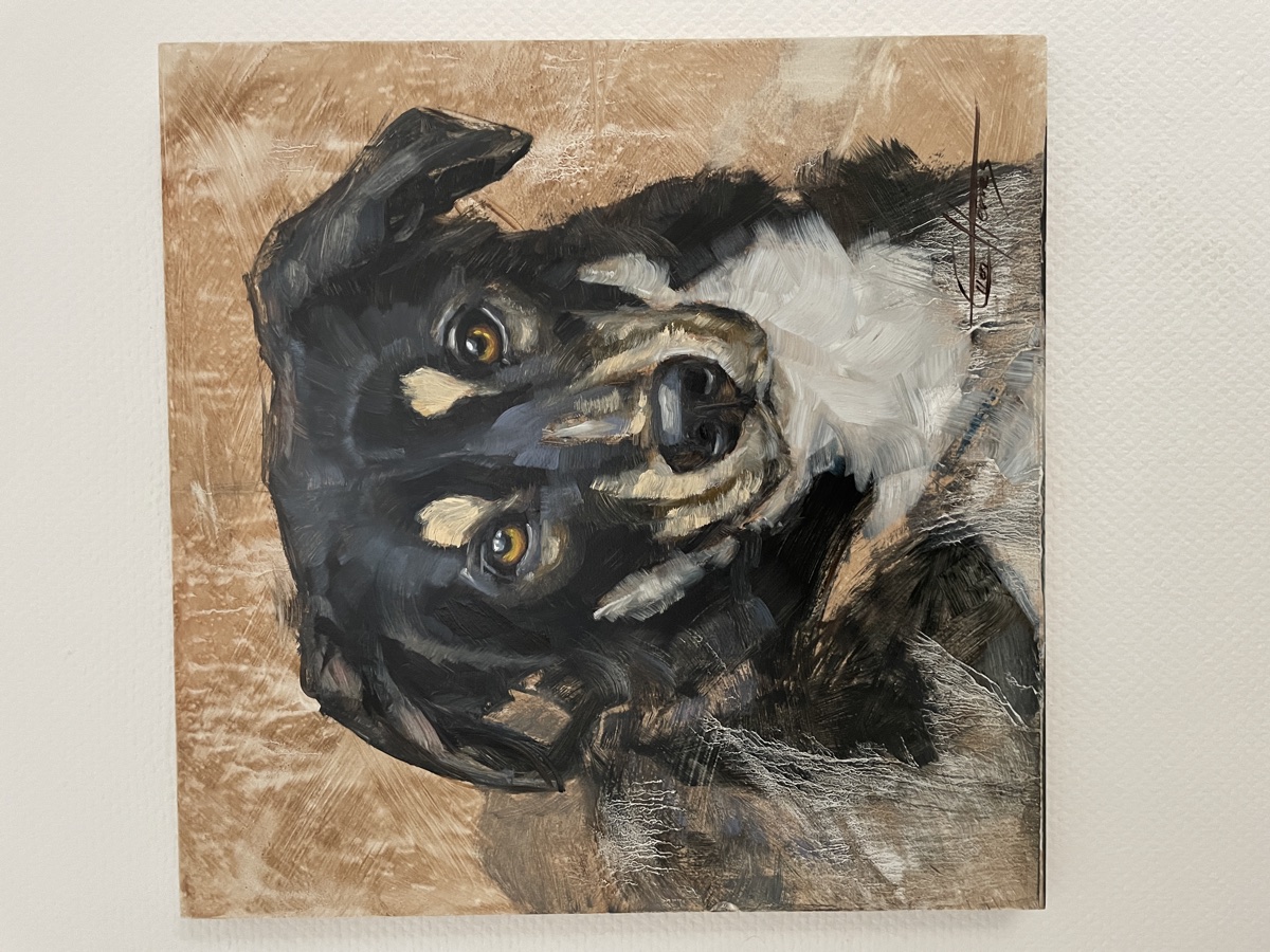 Border-Collie-Portrait in Öl von Ellen Hermes